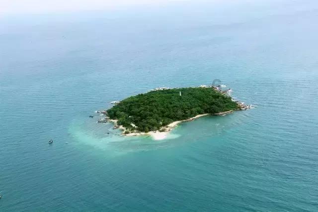 逃离弃城