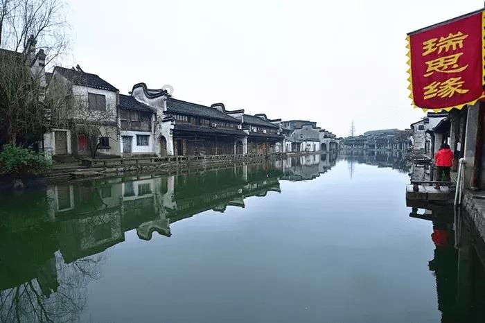 玄凤鹦鹉突然间特别能吃食是什么原因？游戏画面